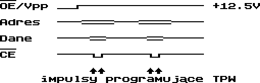 Przebiegi w czasie programowania